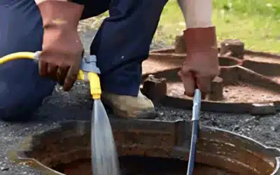 Why Our Technicians Recommend Regular Drain Maintenance