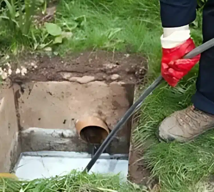 Top Reasons Why Regular Drain Cleaning Is Essential