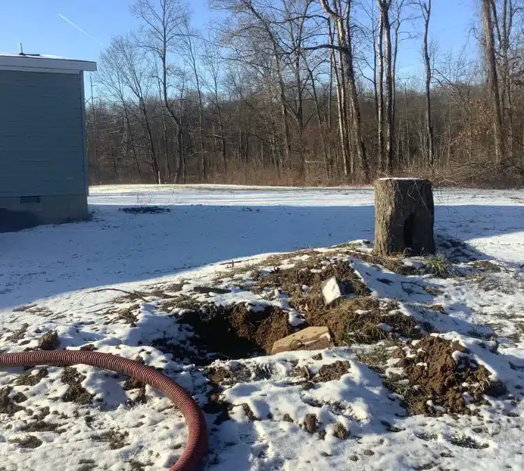 Fall Septic Maintenance Tips for a Trouble-Free Season