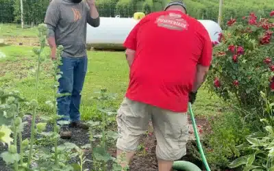 Common Septic Myths and the Truth Behind Them